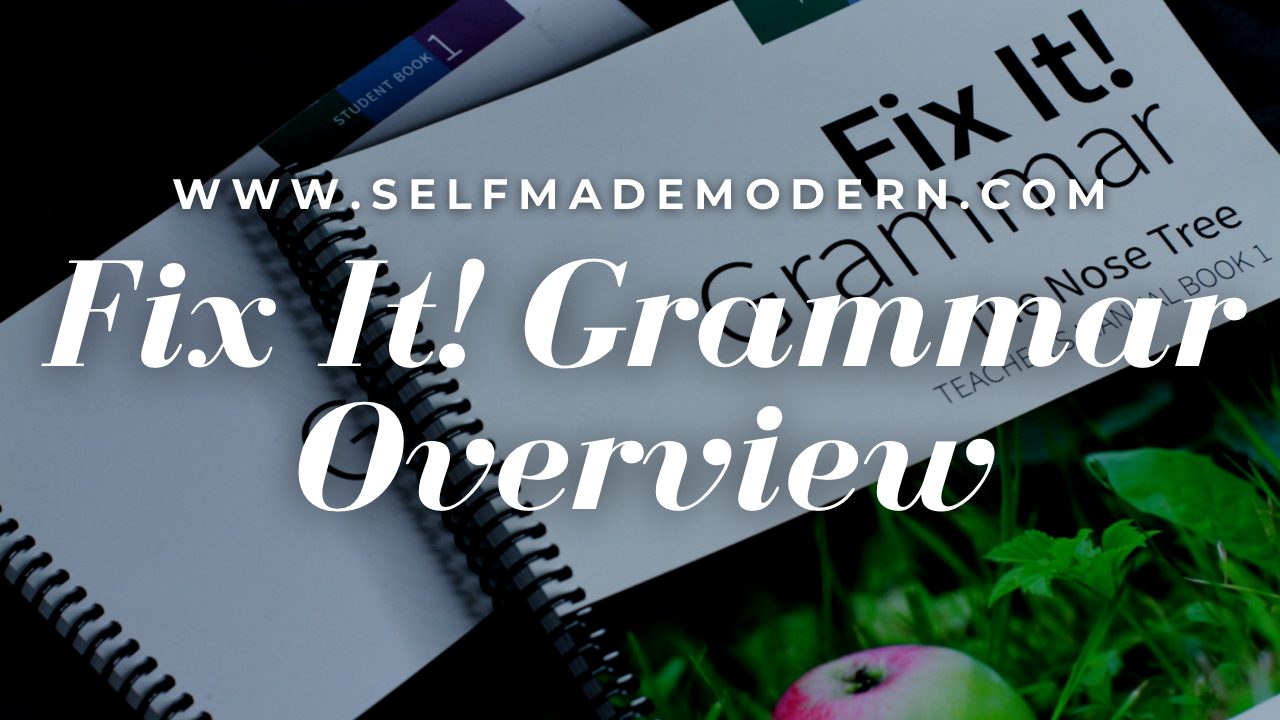 Fix It! Grammar Overview-Video Post